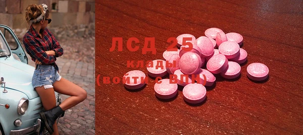 СК Медвежьегорск