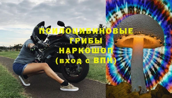 ALPHA PVP Медногорск