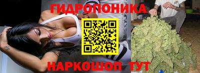 крисы Заволжье