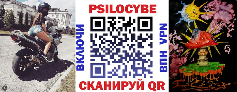 купить наркоту  shop какой сайт  Галлюциногенные грибы Cubensis  Нарткала 