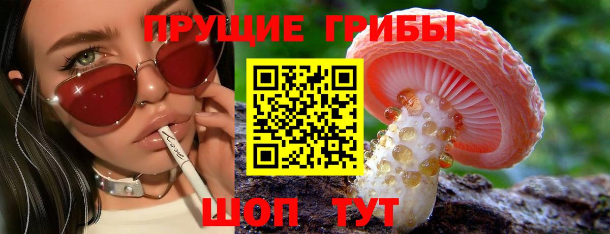 дарнет шоп  Вход с VPN  Нарткала  Псилоцибиновые грибы MAGIC MUSHROOMS 
